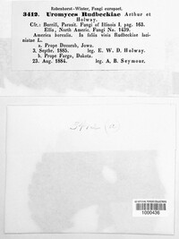 Image Associated With the Occurence